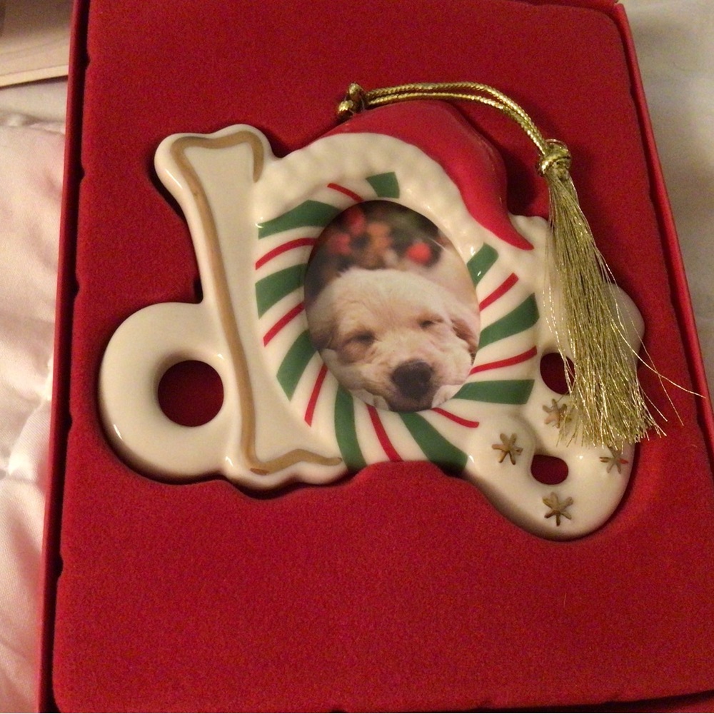 Lenox “DOG” Christmas ornament with magnet